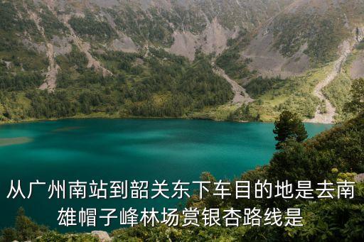 從廣州南站到韶關東下車目的地是去南雄帽子峰林場賞銀杏路線是