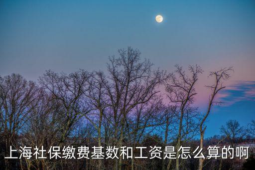 上海社保繳費基數和工資是怎么算的啊