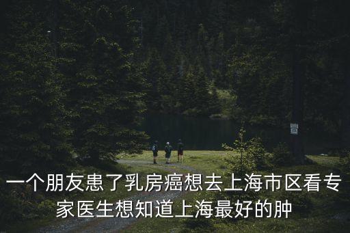 一個朋友患了乳房癌想去上海市區看專家醫生想知道上海最好的腫