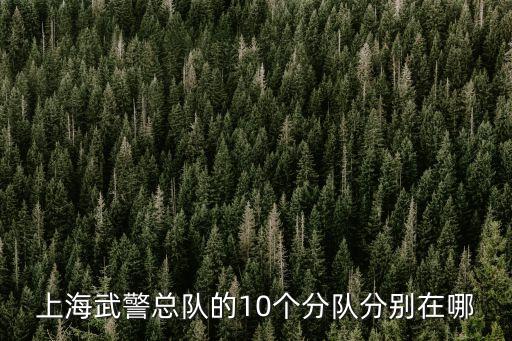 上海市武警總隊(duì)一支隊(duì)一中隊(duì)，上海武警一中隊(duì)具體在哪里