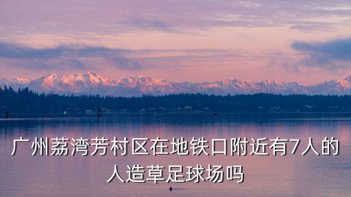 廣州荔灣芳村區在地鐵口附近有7人的人造草足球場嗎