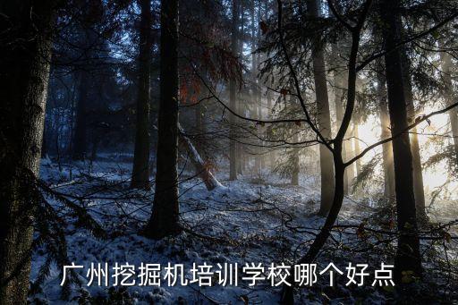 廣州學修挖機的學校嗎，廣州挖掘機培訓學校哪個好點
