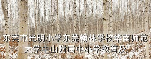 東莞市光明小學(xué)東莞翰林學(xué)校華南師范大學(xué)中山附屬中小學(xué)教育及