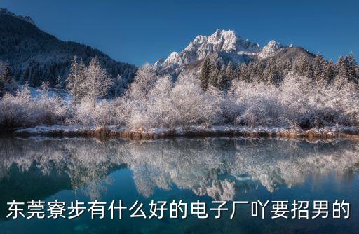 東莞寮步有什么好的電子廠吖要招男的