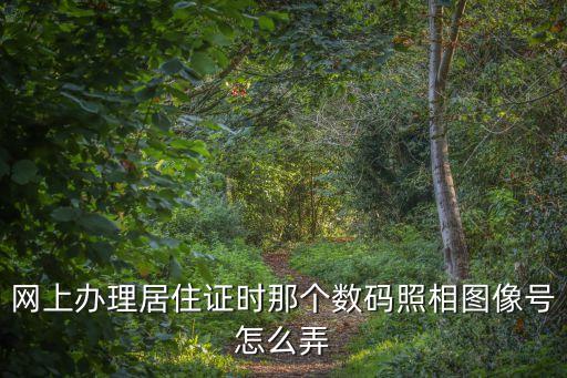 深圳居住證的圖像是怎么來的，居住證辦理要照片圖像嗎