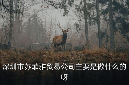 深圳程喜，深圳市蘇菲雅貿易公司主要是做什么的呀