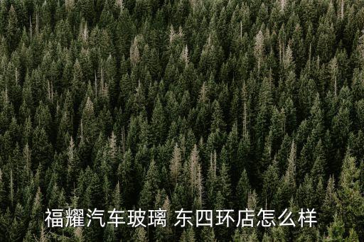 福耀汽車玻璃 東四環店怎么樣
