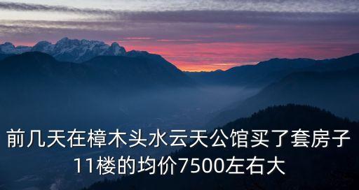 前幾天在樟木頭水云天公館買了套房子11樓的均價7500左右大