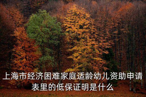 上海市經(jīng)濟困難家庭適齡幼兒資助申請表里的低保證明是什么
