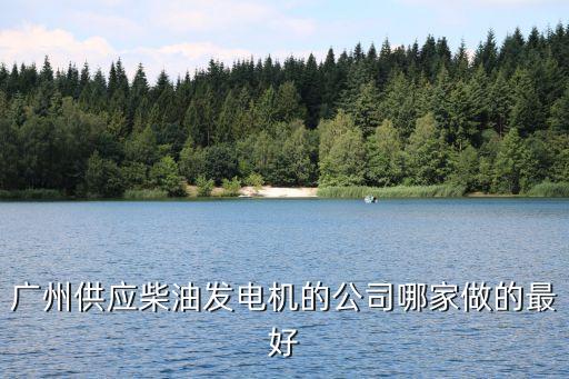 廣州供應柴油發電機的公司哪家做的最好