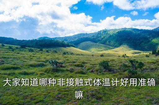 大家知道哪種非接觸式體溫計好用準確嘛