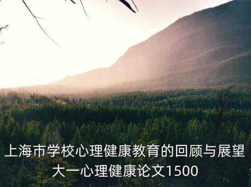 上海市學(xué)校心理健康教育的回顧與展望大一心理健康論文1500