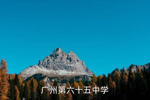 廣州六十五高中，廣州第六十五中學
