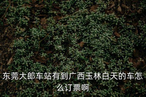 東莞大郎車站有到廣西玉林白天的車怎么訂票啊