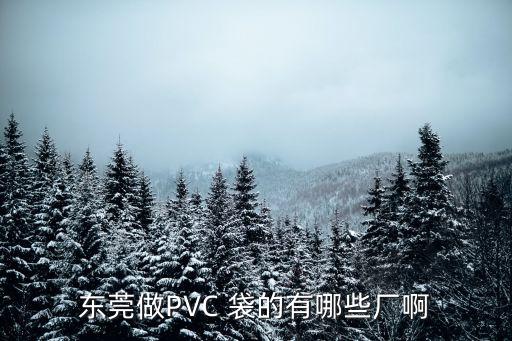 東莞富宏pvc生產廠家，東莞做PVC 袋的有哪些廠啊
