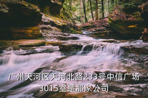 廣州天河區(qū)天河北路233號中信廣場3015室是那家公司