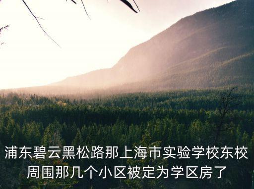 浦東碧云黑松路那上海市實(shí)驗(yàn)學(xué)校東校周圍那幾個(gè)小區(qū)被定為學(xué)區(qū)房了