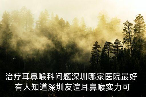 治療耳鼻喉科問題深圳哪家醫(yī)院最好 有人知道深圳友誼耳鼻喉實力可