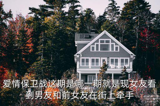 愛情保衛戰這期是哪一期就是現女友看到男友和前女友在街上牽手