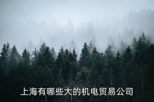 上海市芝友機(jī)電設(shè)備有限公司怎么樣，東芝電梯上海 待遇怎么樣 福利 應(yīng)屆大學(xué)本科畢業(yè)生 機(jī)械的