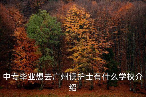 中專畢業想去廣州讀護士有什么學校介紹