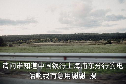 請問誰知道中國銀行上海浦東分行的電話啊我有急用謝謝  搜