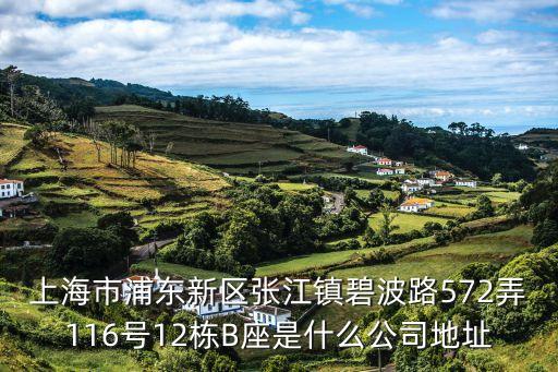 上海市浦東新區(qū)張江鎮(zhèn)碧波路572弄116號12棟B座是什么公司地址
