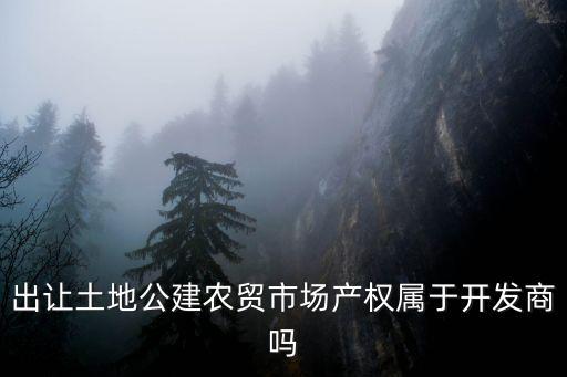 出讓土地公建農貿市場產權屬于開發商嗎