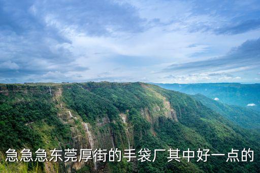 東莞厚街衛(wèi)士手袋，東莞厚街是不是有很多手袋廠那些是不是正規(guī)的呢