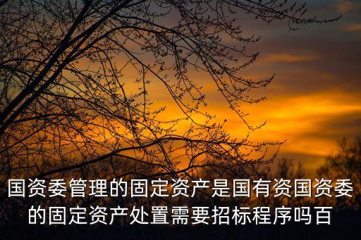 深圳國資委資產拍賣網站，國有資產拍賣在哪里公示
