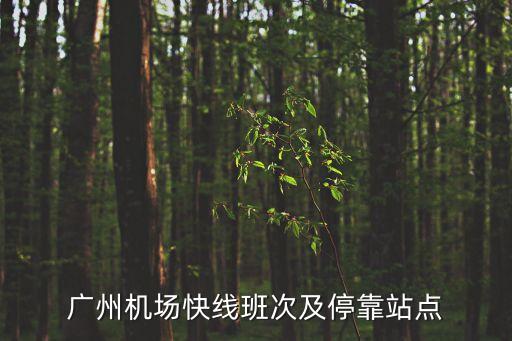 廣州機(jī)場(chǎng)快線班次及?？空军c(diǎn)