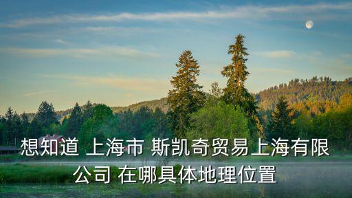 想知道 上海市 斯凱奇貿易上海有限公司 在哪具體地理位置