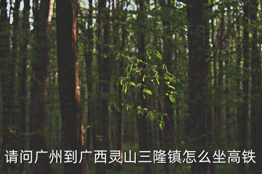 請(qǐng)問(wèn)廣州到廣西靈山三隆鎮(zhèn)怎么坐高鐵