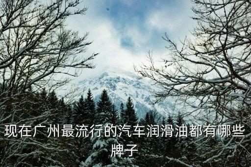 廣州悅來潤滑油，廣州哪里有比較好的汽車潤滑油批發廠家呢