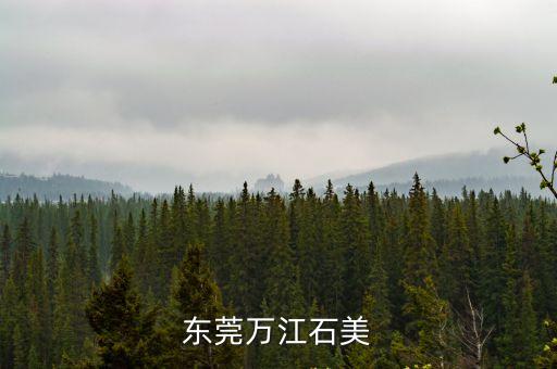 東莞萬江石美小孩培訓(xùn)班，東莞萬江石美