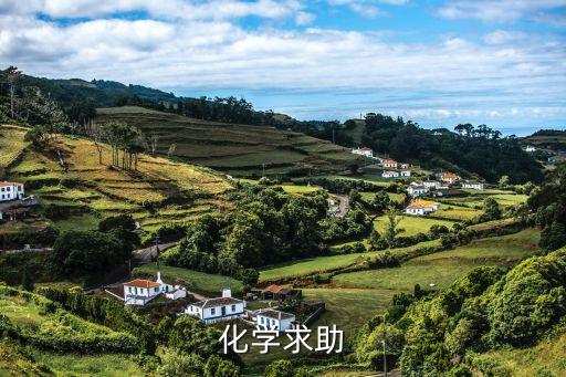 上海市高三化學(xué)一模試卷，求上海市20102011學(xué)年高三化學(xué)一摸試卷答案