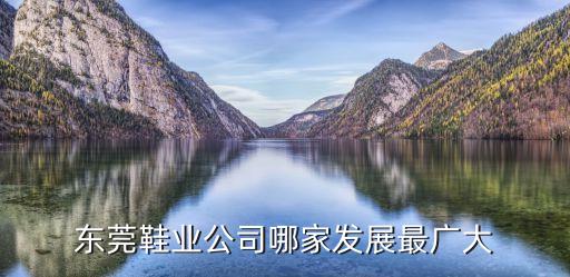 東莞鞋業(yè)出口前景，東莞鞋業(yè)界的市場(chǎng)