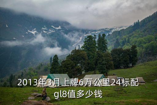 別克gl8二手車上海市場，2013年3月上牌6萬公里24標配gl8值多少錢