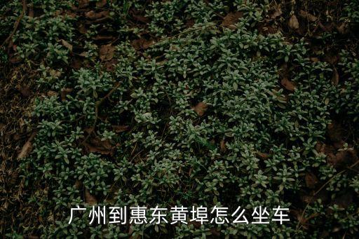 廣州到惠東黃埠汽車，廣州到惠東黃埠怎么坐車