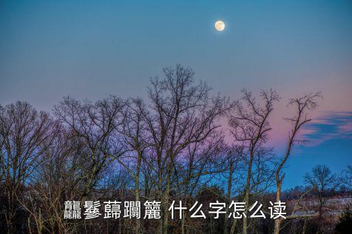 廣州乾龍騰飛，龘鬖蘬躢籭 什么字怎么讀