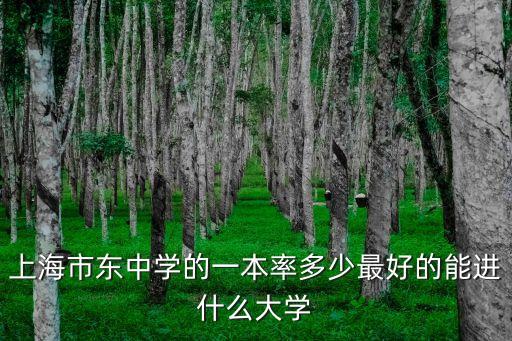 上海市東中學的一本率多少最好的能進什么大學