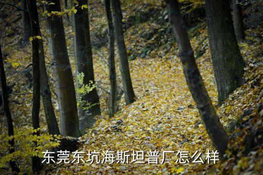 東莞東坑海斯坦普廠怎么樣