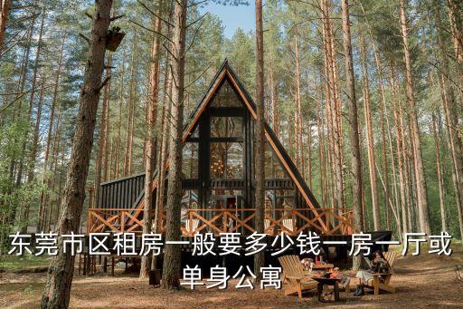 東莞市區(qū)租房一般要多少錢一房一廳或單身公寓