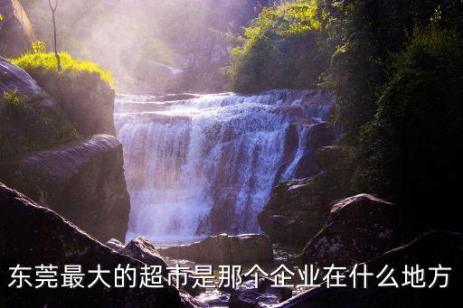 東莞最大的超市是那個企業(yè)在什么地方