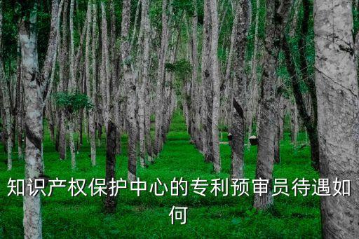 上海市知識產權局副局長章永忠，專利申請費用減緩請求證明