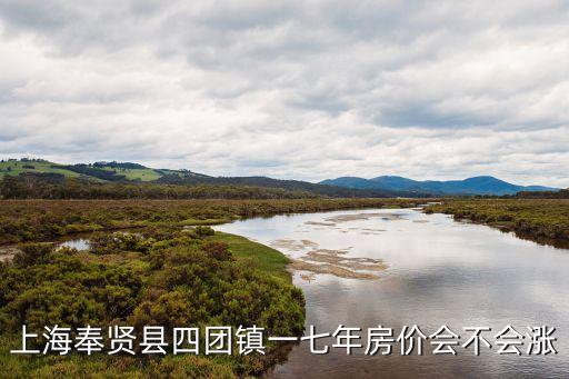 上海奉賢縣四團鎮一七年房價會不會漲