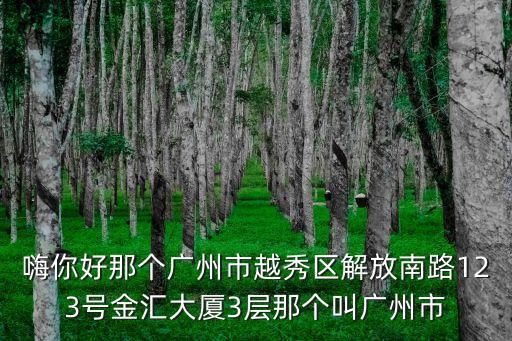 廣州伽潤國強(qiáng)集團(tuán)沃云，廣州伽潤的法人是誰