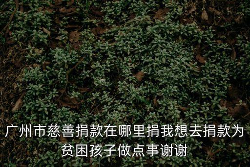 廣州紅十字會慈善機構，廣東的慈善機構有哪些