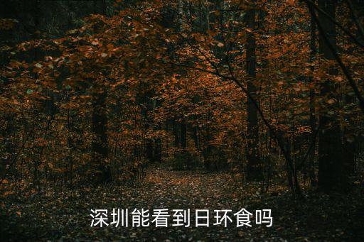 深圳日食環(huán)2020，深圳能看到日全食嚒
