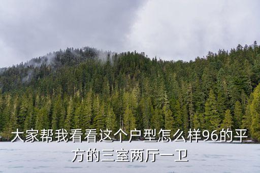 大家幫我看看這個戶型怎么樣96的平方的三室兩廳一衛